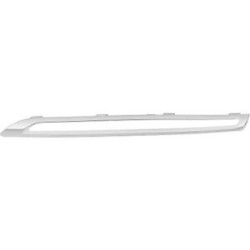 Radiator Grille Cover DIEDERICHS 1692143 OE Ref A2928880185