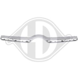 Radiator Grille Trim Strip DIEDERICHS 1693041 OE Ref A1678882400