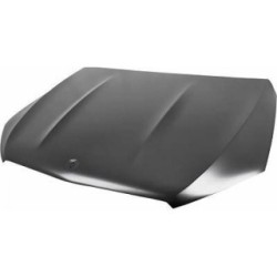 Bonnet DIEDERICHS 1693100 OE Ref A1678800300