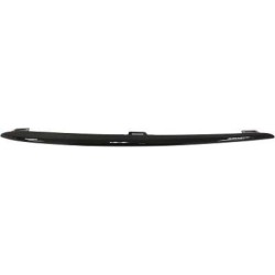 Radiator Grille Trim Strip DIEDERICHS 1693363 OE Ref A1678854705