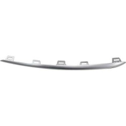Radiator Grille Trim Strip DIEDERICHS 1693364 OE Ref A1678855405