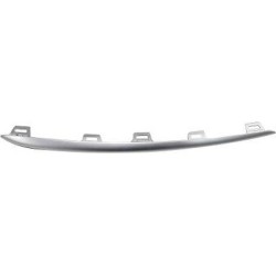 Radiator Grille Trim Strip DIEDERICHS 1693365 OE Ref A1678855305