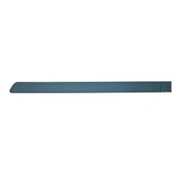 Door Trim Strip DIEDERICHS 1805422 OE Ref 13128415