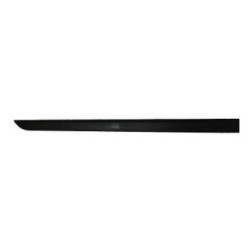 Door Trim Strip DIEDERICHS 1806420 OE Ref 24461094