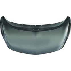 Bonnet DIEDERICHS 1876000 OE Ref 95514648