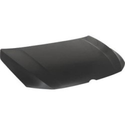 Bonnet DIEDERICHS 2218000 OE Ref 5H0823031H