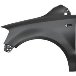 Wing (Fender) DIEDERICHS 2235007 OE Ref 5Z0821021E