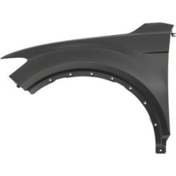 Wing (Fender) DIEDERICHS 2240807 OE Ref 2GA821021