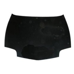 Bonnet DIEDERICHS 3520000 OE Ref 22613671