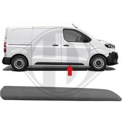 Door Trim Strip DIEDERICHS 4098220 OE Ref 980874731T