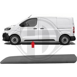 Door Trim Strip DIEDERICHS 4098221 OE Ref 980874751T