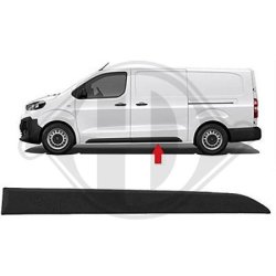 Door Trim Strip DIEDERICHS 4098225 OE Ref 980874931T