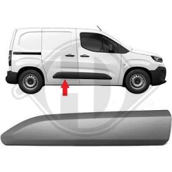 Door Trim Strip DIEDERICHS 4214922 OE Ref 981769511T