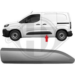 Door Trim Strip DIEDERICHS 4214923 OE Ref 981769551T