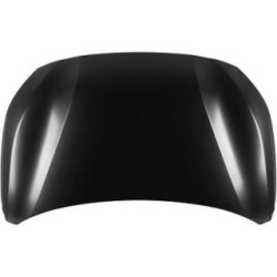 Bonnet DIEDERICHS 4228000 OE Ref 9827576880