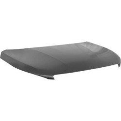 Bonnet DIEDERICHS 4236100 OE Ref 9817303180