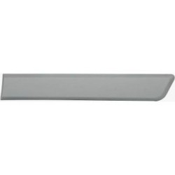 Door Trim Strip DIEDERICHS 4285423 OE Ref 8546 X6