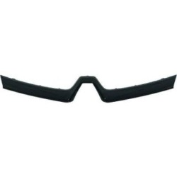 Radiator Grille Trim Strip DIEDERICHS 4406041 OE Ref 623820592R