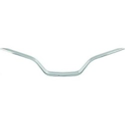 Radiator Grille Trim Strip DIEDERICHS 4406043 OE Ref 620785099R