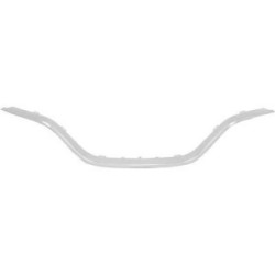 Radiator Grille Cover DIEDERICHS 4406242 OE Ref 620789602R