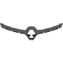 Radiator Grille Trim Strip DIEDERICHS 4407042 OE Ref 623821421R