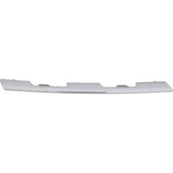 Radiator Grille Trim Strip DIEDERICHS 4417442 OE Ref 620743481R