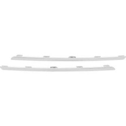 Radiator Grille Trim Strip Set DIEDERICHS 4446043 OE Ref 960100956R