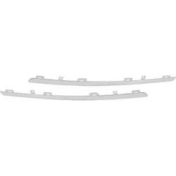 Radiator Grille Trim Strip DIEDERICHS 4467443 OE Ref 960102216R