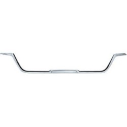 Radiator Grille Trim Strip DIEDERICHS 4497342 OE Ref 620849333R