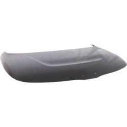 Bonnet DIEDERICHS 6528900 OE Ref 66400K0300