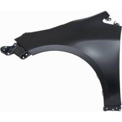 Wing (Fender) DIEDERICHS 6661007 OE Ref 53802-02270