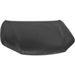 Bonnet DIEDERICHS 6686800 OE Ref 53301KK011