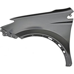 Wing (Fender) DIEDERICHS 6687407 OE Ref 5381242350