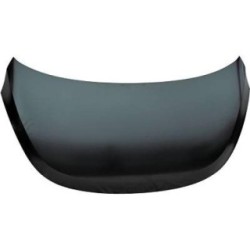 Bonnet DIEDERICHS 6852000 OE Ref 664000X020