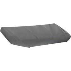 Bonnet DIEDERICHS 7428000 OE Ref 6F0823031A