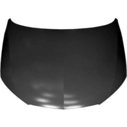 Bonnet DIEDERICHS 7433000 OE Ref 6JA 823 031 A