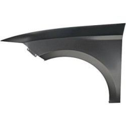 Wing (Fender) DIEDERICHS 7433207 OE Ref 5F0821021B