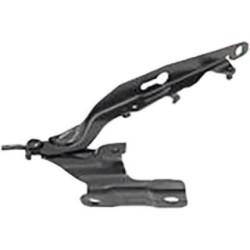 Bonnet Hinge DIEDERICHS 7675019 OE Ref 30779282