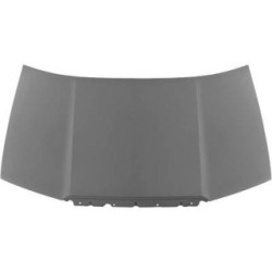 Bonnet DIEDERICHS 7805000 OE Ref 6Y0823031