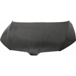 Bonnet DIEDERICHS 7842000 OE Ref 3V0823031A