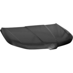 Bonnet DIEDERICHS 7880000 OE Ref 565 823 031 A