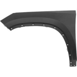 Wing (Fender) DIEDERICHS 7880007 OE Ref 565821105