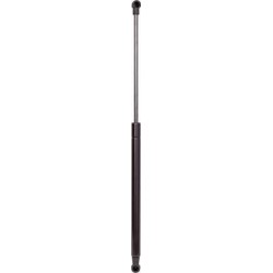 Boot Gas Spring DIEDERICHS 9101701 OE Ref 8E9827552E