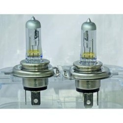 Headlight Bulb DIEDERICHS 9400089