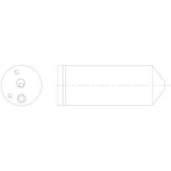 Dryer (Receiver Drier) DIEDERICHS DCT1096 OE Ref 46804655