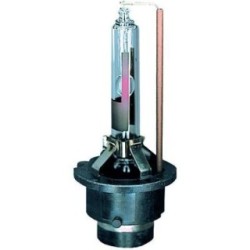 Headlight Bulb DIEDERICHS LID10008