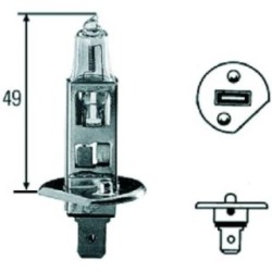 Spotlight Bulb DIEDERICHS LID10012 OE Ref 1297700629