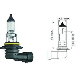 Spotlight Bulb DIEDERICHS LID10030 OE Ref N10130001