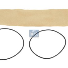 Centrifugal Cleaner Gasket Set DIESEL TECHNIC 1.31163 OE Ref 2386074 DIESEL TECHNIC