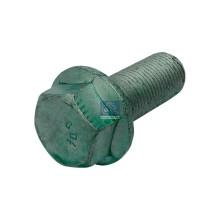Screw DIESEL TECHNIC 3.89623 OE Ref 06027915211